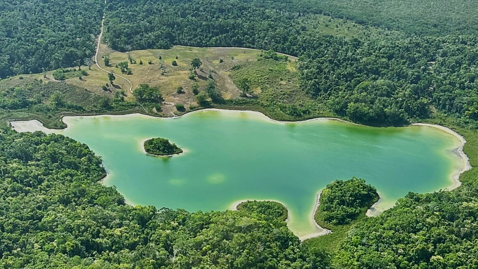 Aerial view of a tropical lake and surrounding forest in Belize