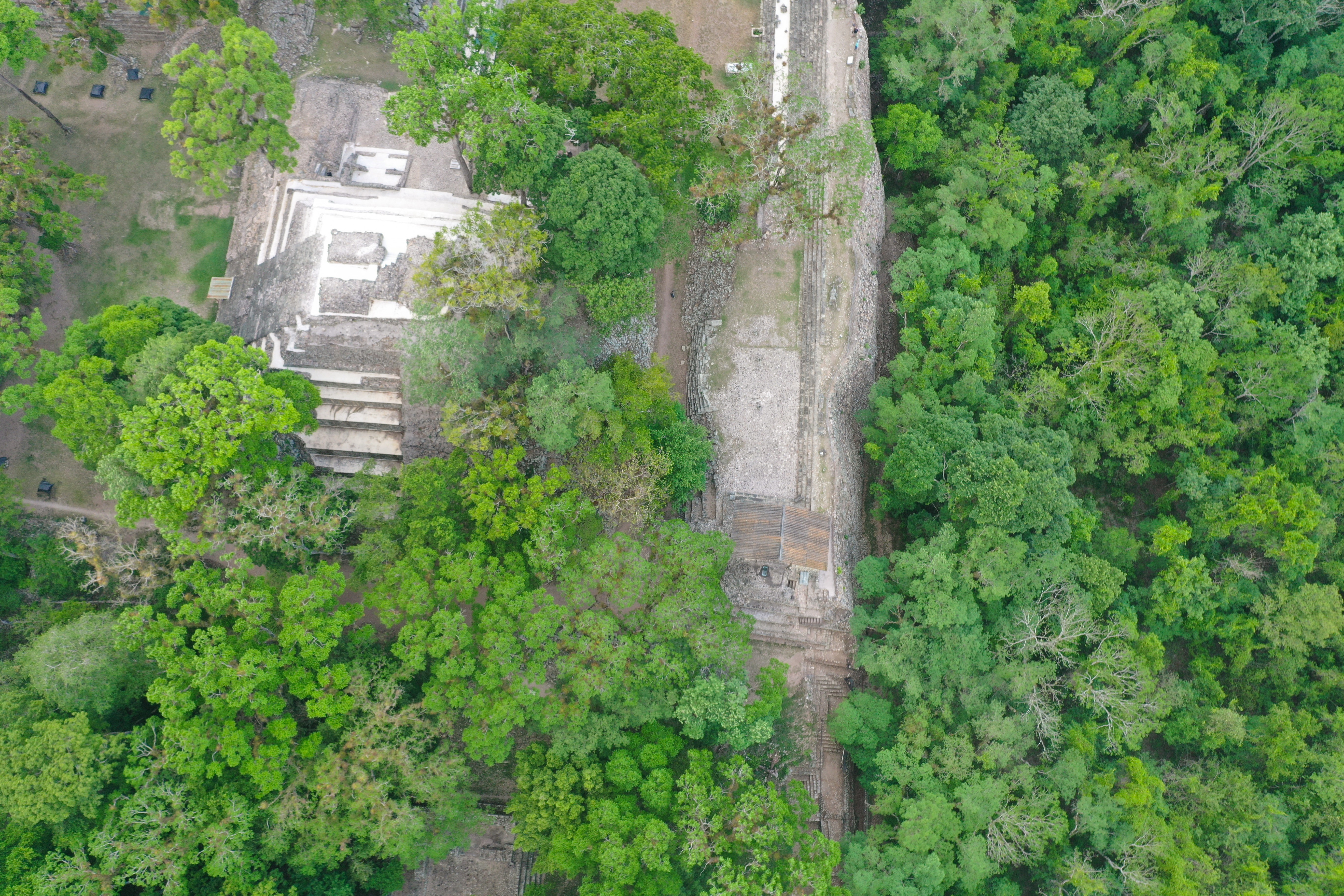 Drone view of Maya architecture and tropical forest