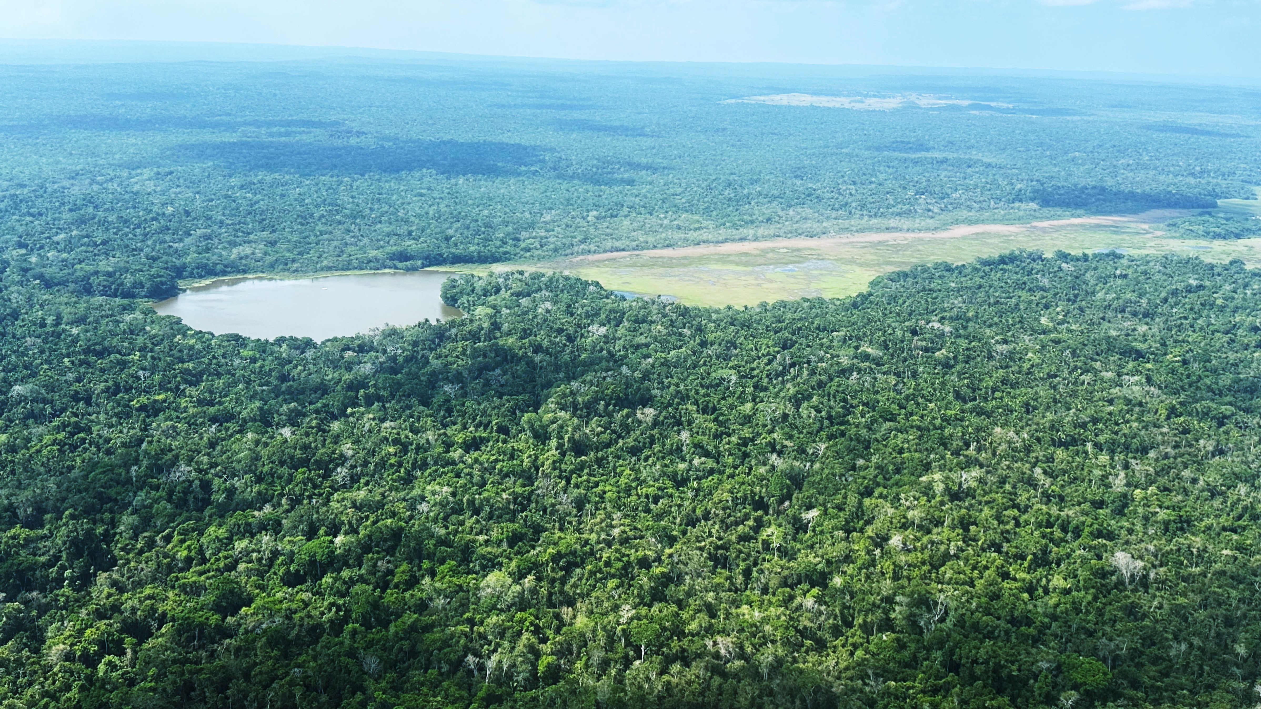Tropical lake and surrounding forest representing environmental legacies research